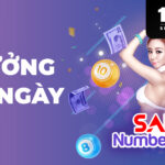 Hướng dẫn bật VPN mặc định trên điện thoại Xiaomi, Oppo, Vivo (Android)